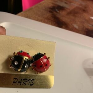 Red and Black Ladybug Brooch/Pin
